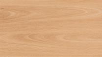 Ellmau Beech 21 Inch (2800x533x15mm)