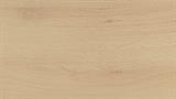 Steinberg Beech 2620x570x18mm