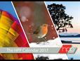 2017 HPP Calendar Competition: And the winners are...
