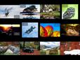 2017 HPP Calendar Competition: And the winners are...