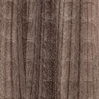 Self-adhesive cover cap, Grey Bardolino Oak, 14mm (25 per sheet)