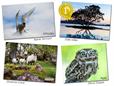2018 HPP Calendar Competition