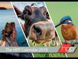 2018 Calendar Competition: And the winners are...