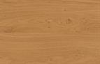 ABS Edging Tape Winchester Oak (Pippy Oak) ST22 2 x 23mm