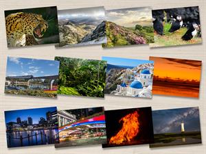 2019 Calendar Competition: And the winners are...