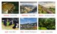 2019 Calendar Competition: And the winners are...