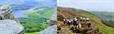Team HPP Smashes Fundraising Target on Mahdlo 3 Peaks Walk
