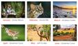 2020 Calendar Competition: And the winners are...