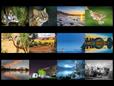 2020 Calendar Competition: And the winners are...