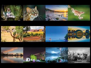 2020 Calendar Competition: And the winners are...