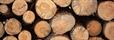 HPP Attains PEFC Chain of Custody Certification