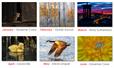2021 Calendar Competition: And the winners are...