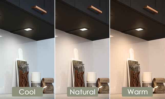 Astro TrioTone™ LED Light