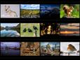 2022 Calendar Competition: And the winners are...