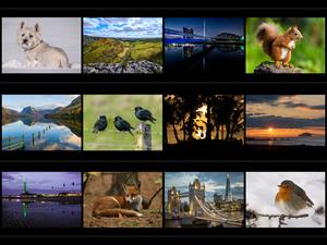 2022 Calendar Competition: And the winners are...