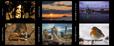 2022 Calendar Competition: And the winners are...