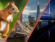 Meet our 2022 Calendar Competition Winners!