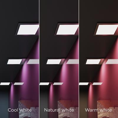 Horizon TrioTone™ LED Light