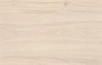 ABS Edging Tape White Casella Oak ST40 2 x 23mm