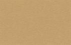 ABS Edging Tape Golden Brushed Metal  0.8 x 23mm