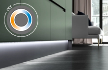 Ion 5 CCT LED Flexible Strip