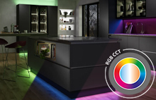 Flux RGB CCT LED Flexible Strip
