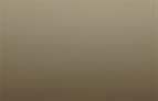 Decor Panels Fineflex PET 18mm Perlgold/matching balancer MDF 3050 x 1220mm