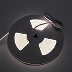 Sensio Razor X Edge Pro CCT Lit Strip (No Tape) - 10M