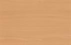 Ellmau Beech 2800x570x18mm