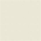 18mm Ivory Cut and Edged