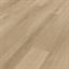Karndean Palio Rigid - Belice Limed Oak Plank image 3