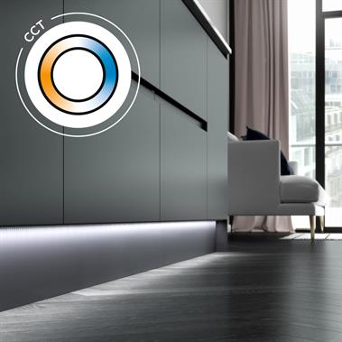 Ion 8 CCT LED Flexible Strip