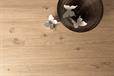 New Wilsonart Synergii Worktop Collection Launched